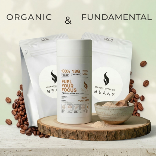 Organic + Fundamental + Lions Mane